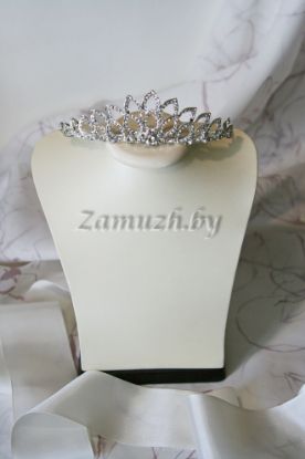 Изображение ТИАРА ASTI